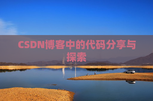 CSDN博客中的代码分享与探索